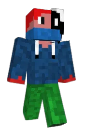 Skin preview