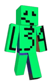 Skin preview