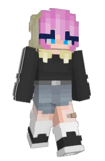 birdcar_'s Minecraft skin