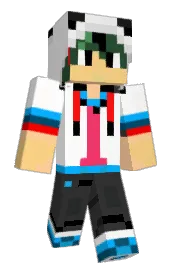 Skin preview