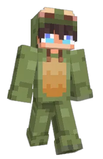 Front of acortess's skin