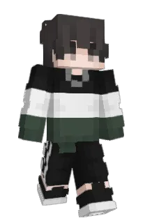 Front of Minecraft skin