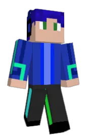 Skin preview