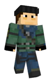 Skin preview