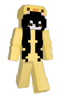 Front of AndineMEOW's skin