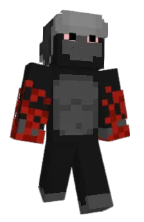 Front of The__monke's skin