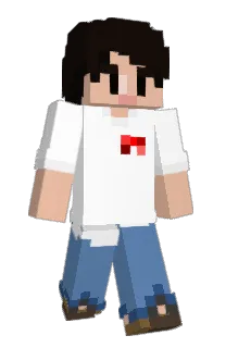 Front of NICENJOY's skin
