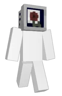 Front of bunyaviridae's skin