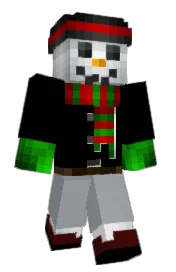 Skin preview