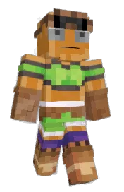 Skin preview