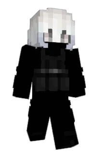 Front of blahajs's skin