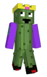 Minecraft skin — Slim model