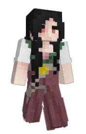 Skin preview
