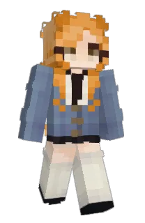 Front of reponyan's skin