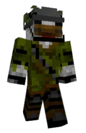 Skin preview