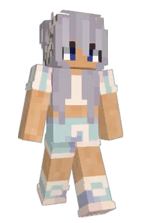 Front of z95k's skin