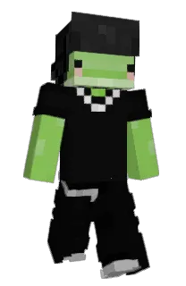 Front of Steiiit's skin