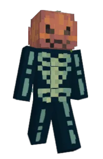 Front of 1re's skin