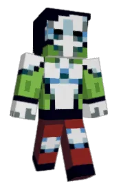 Skin preview