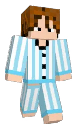 Minecraft skin — Classic model