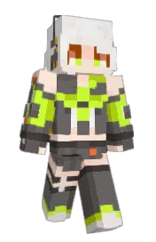 Skin preview