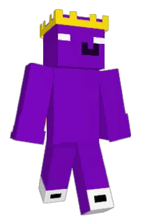 Front of Sajdeczek's skin