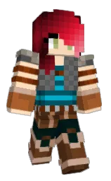 Minecraft skin — Classic model