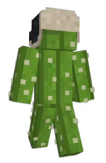 Front of efoni's skin