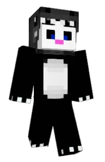 Front of Minecraft skin