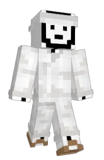 Front of paper_425's skin