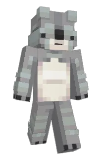 Front of dumkoala's skin