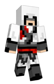 N1qqer's Minecraft skin