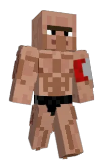 Front of soldadocaido's skin