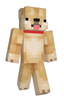 Front of snail___'s skin