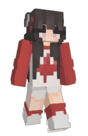 Skin preview