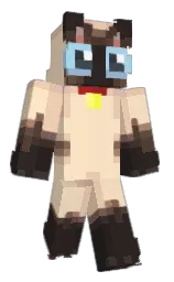 rotim's Minecraft skin wearing the Migrator cape