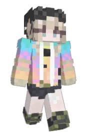 Skin preview