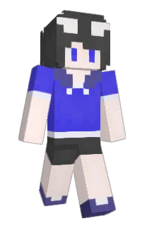 Front of PagaAP's skin
