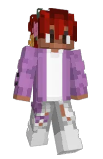 Front of HappisHome's skin