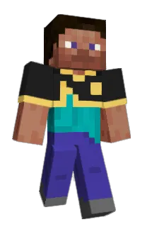 Front of Turtious's skin