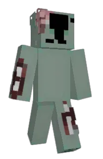 Front of Minecraft skin
