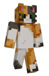 Front of viroldo87's skin