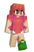 aladininc