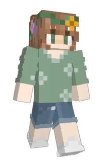 Front of starwar77's skin