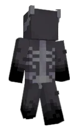 ship gray and black Minecraft skin — Slim model — first worn by Jayf10