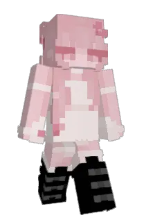DEJUN's Minecraft skin