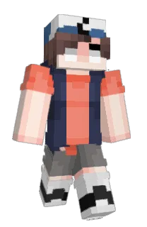 Front of TP348's skin
