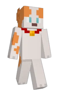 Front of mraf's skin