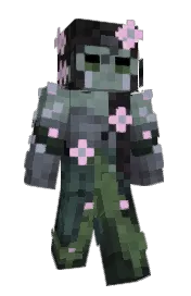 Skin preview