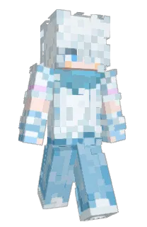 Front of DropFish233's skin